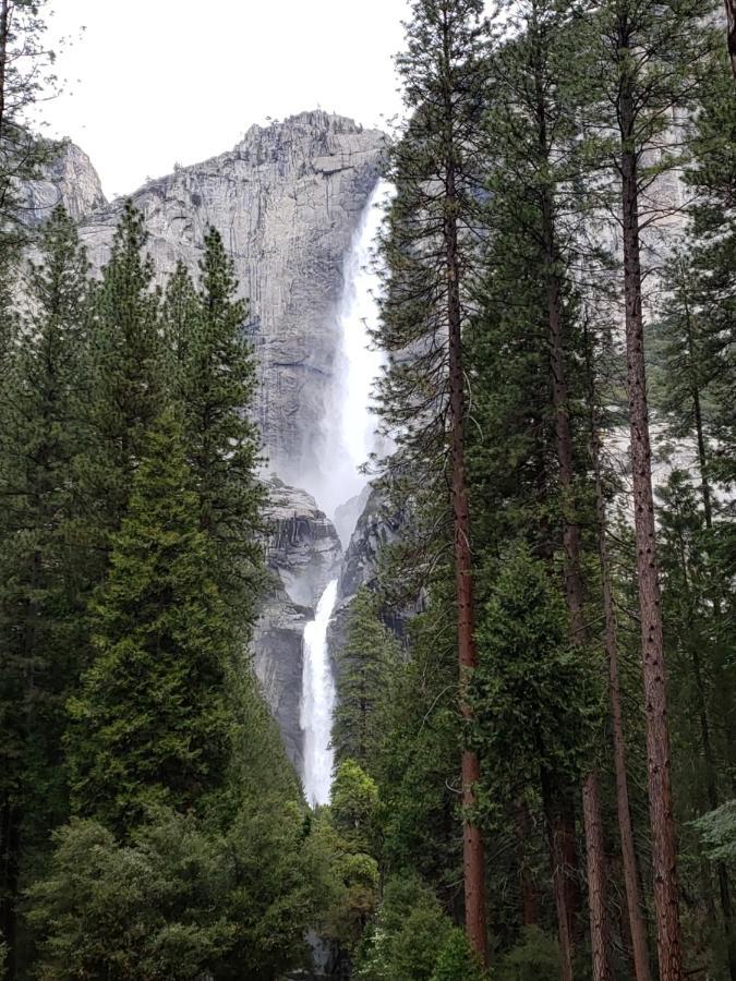 Yosemite Foothill Retreat - Private Guest #3 Coarsegold