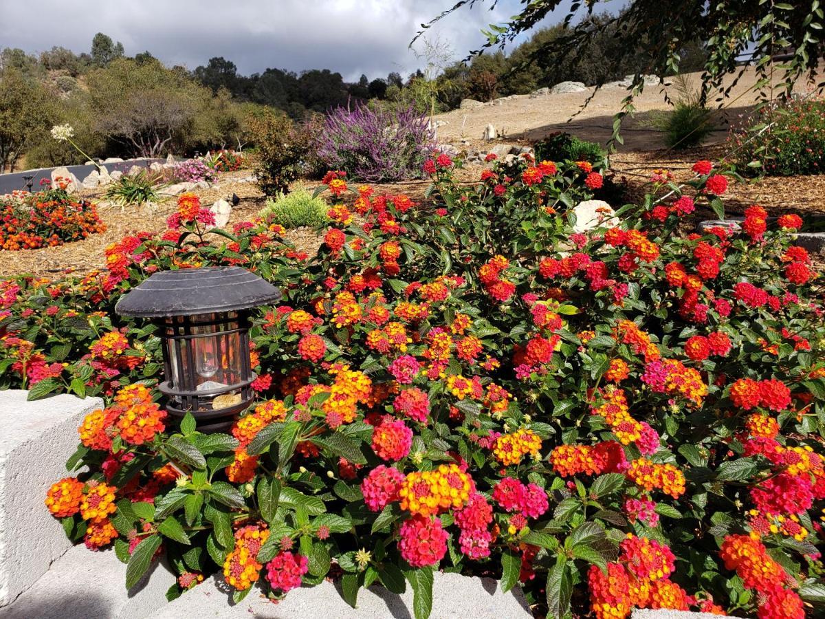 Holiday home Yosemite Foothill Retreat - Private Guest #3 *